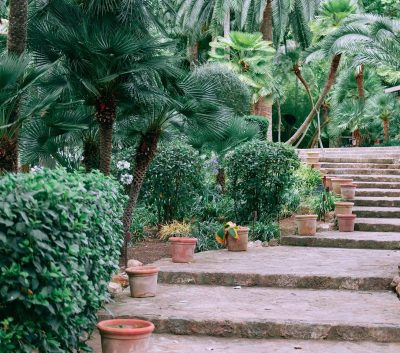 pexels-orlovamaria-4913344